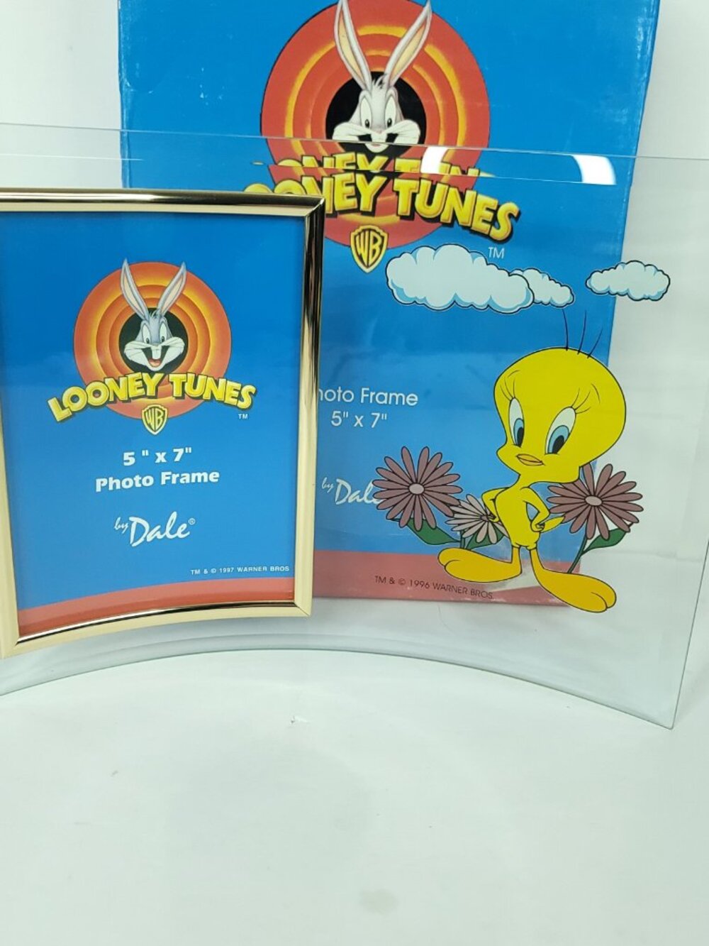Warner Bros Looney Tunes Tweety Bird Glass Curved Photo Frame 5 x 7 Box Damage